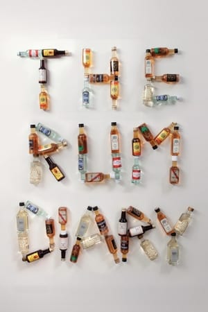 The Rum Diary (2011) Hindi Dual Audio 400MB